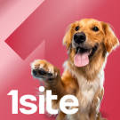 1Site.NKO - Сайт некоммерческой организации, благотворительного фонда